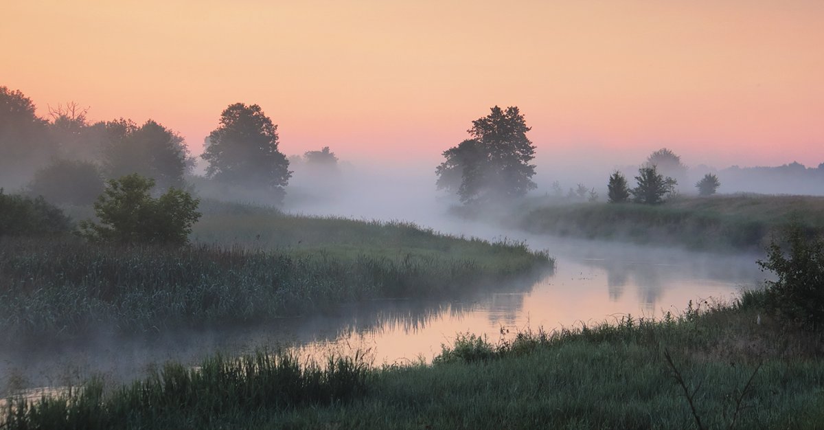 Туманное утро Фет