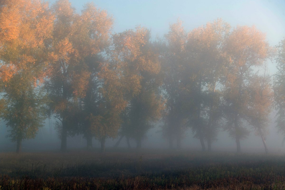 Осень туман