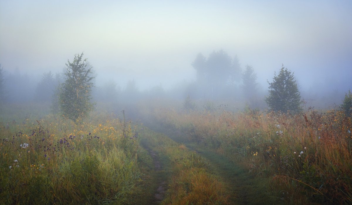 Пейзаж туман
