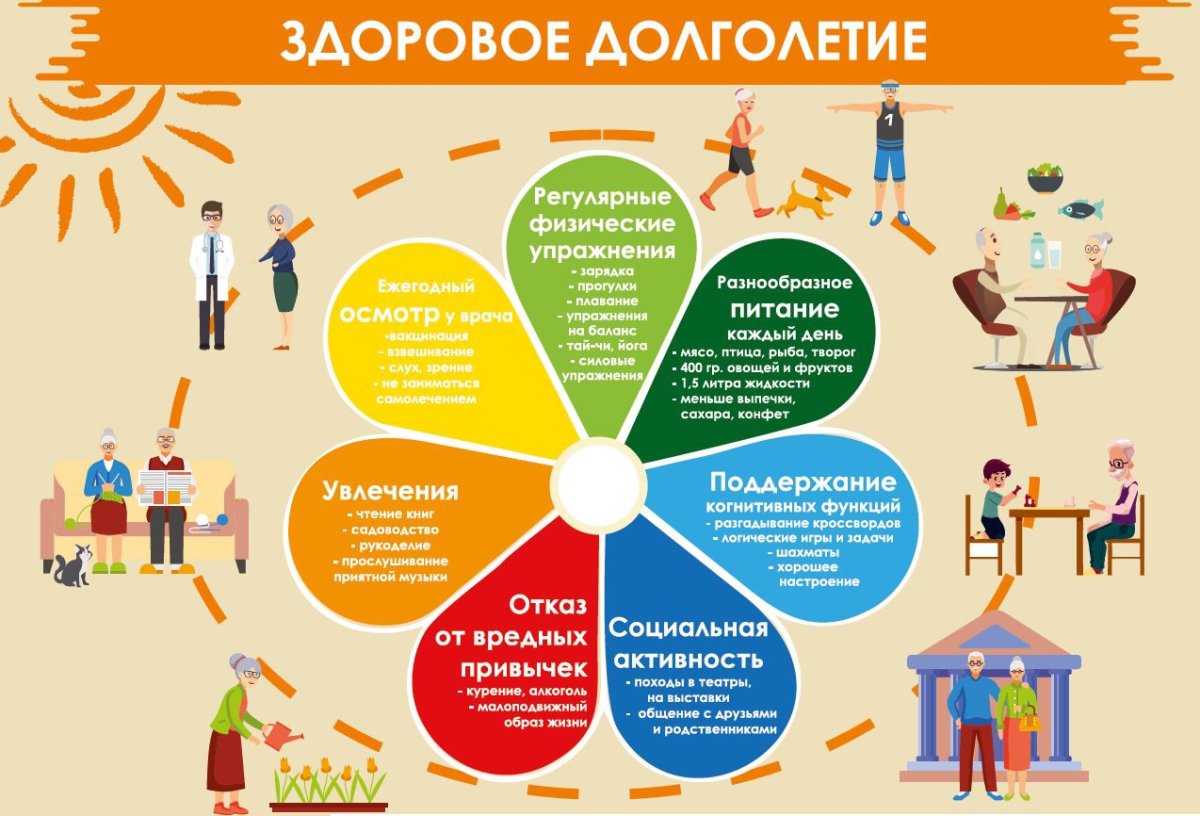 Здоровое долголетие инфографика