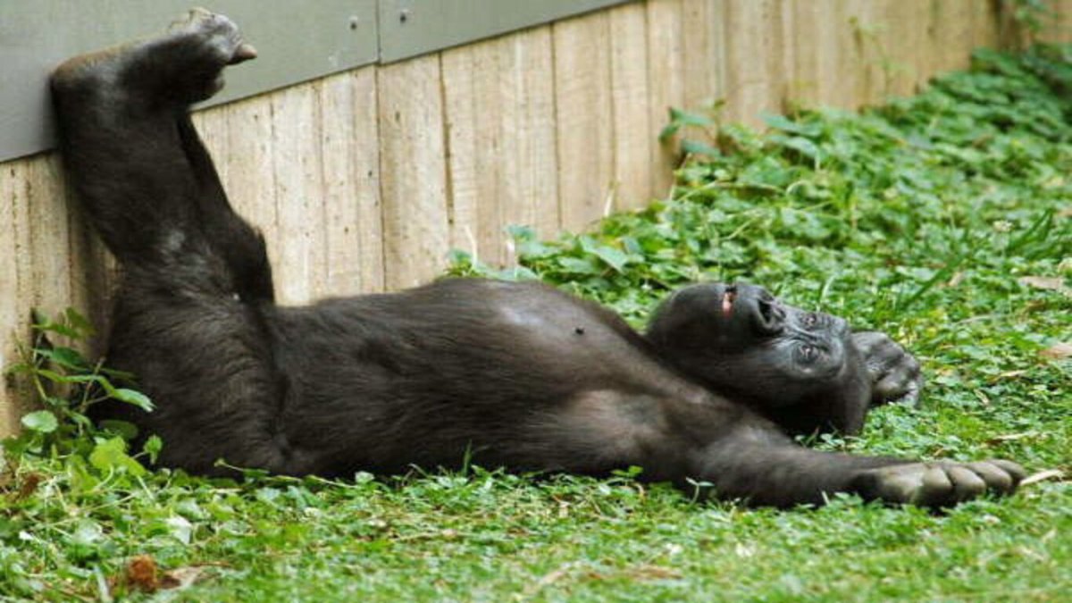 И создал Бог женщину ничего накрасится