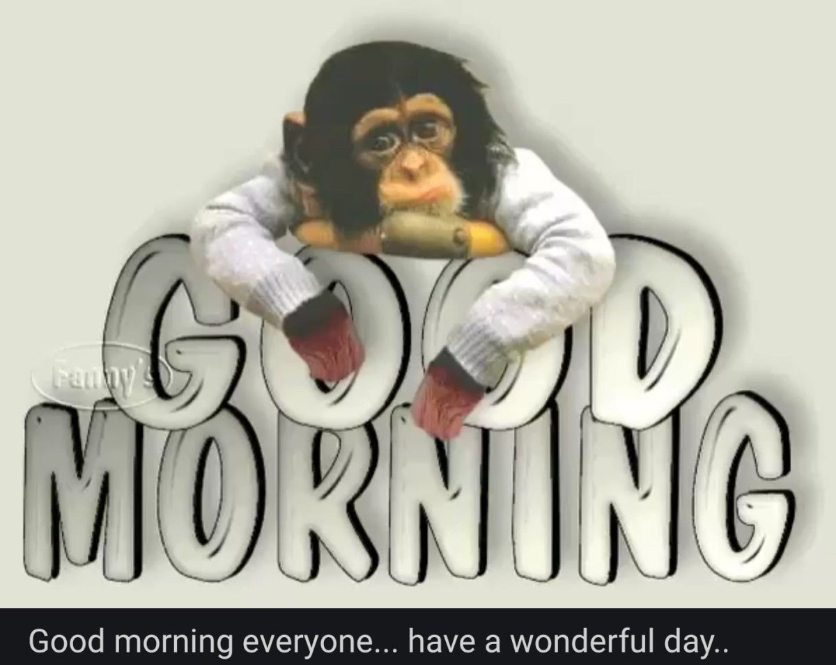 Смешные цитаты про понедельник