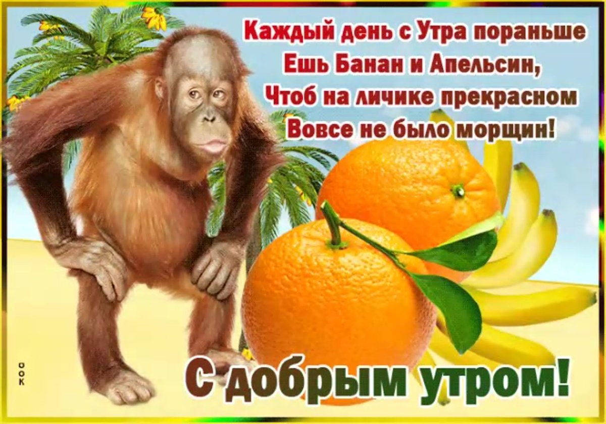 День обезьян