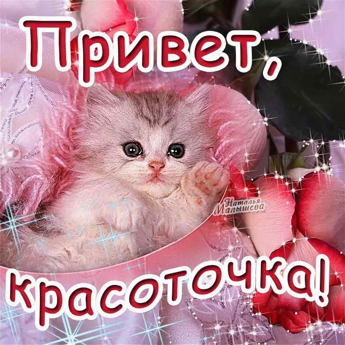 Привет красотуля