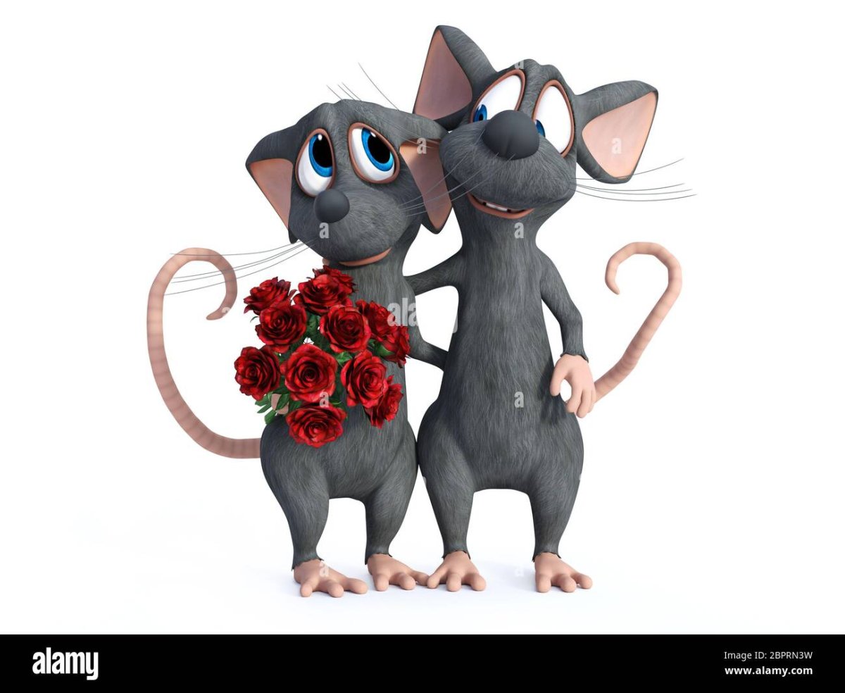 Крысиные отношения