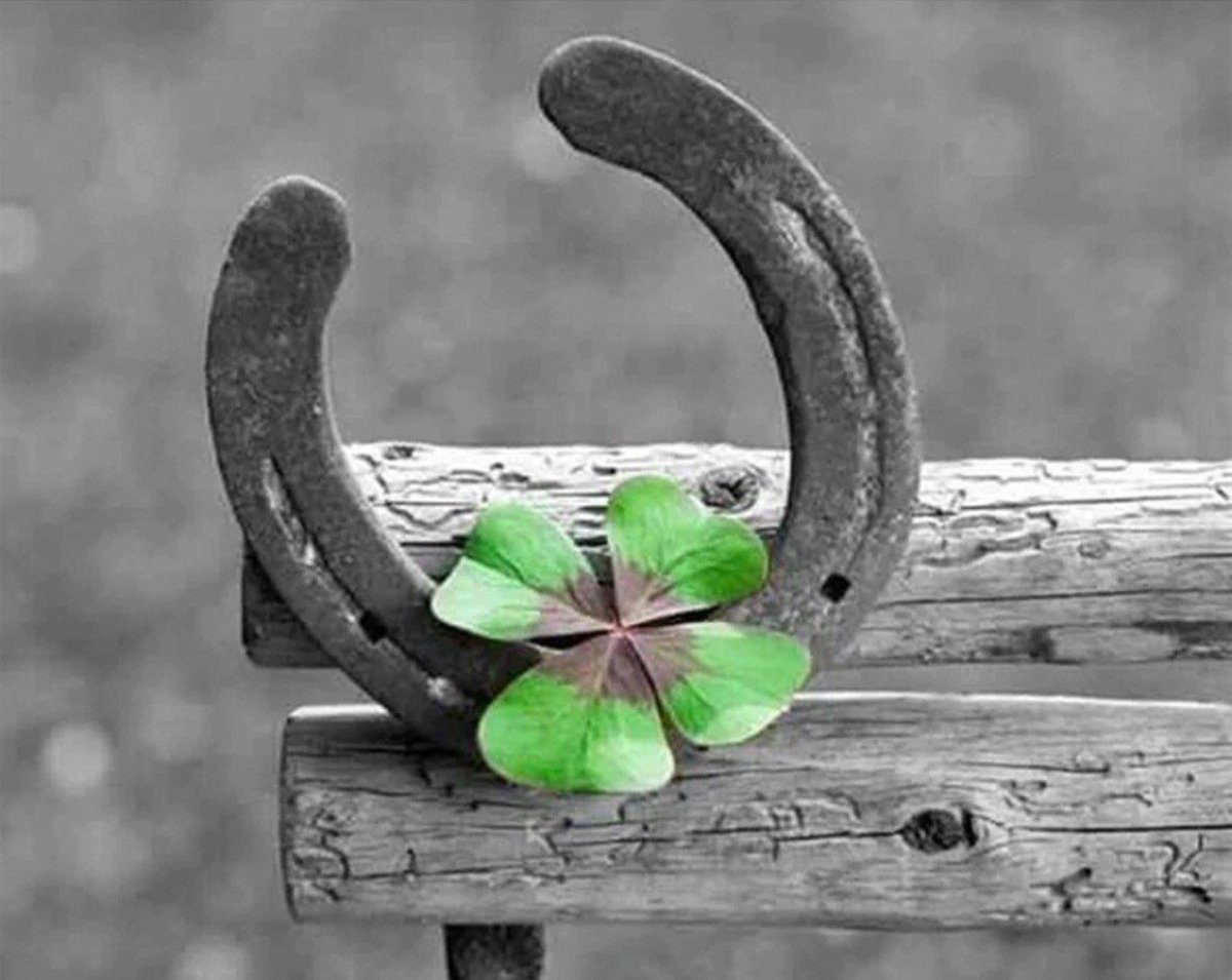 Подкова с клевером