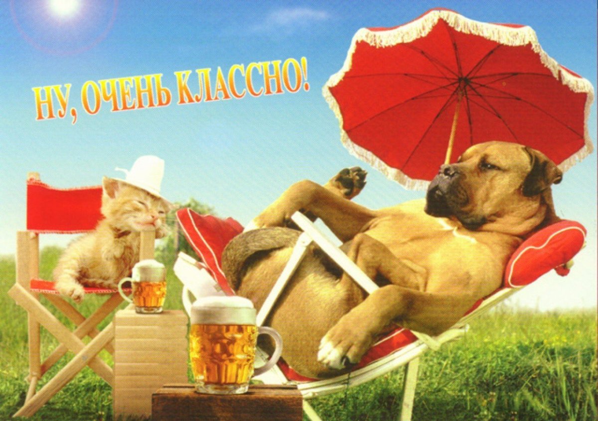 Открытки отличного отдыха на природе