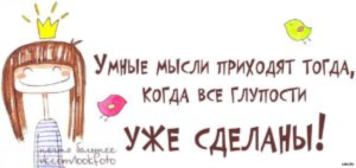 Смешные мысли и высказывания в картинках