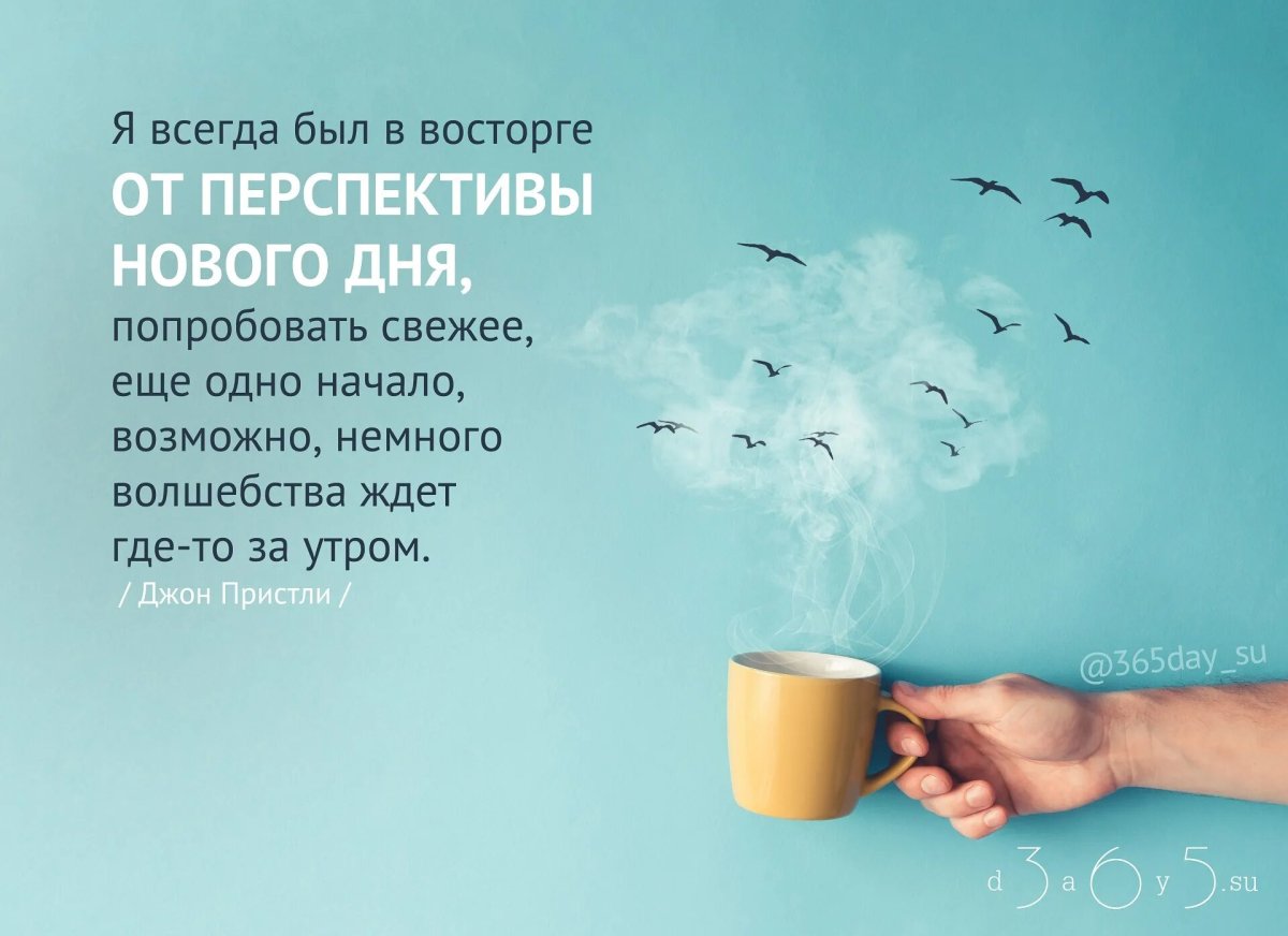 Афоризмы про день рождения смешные