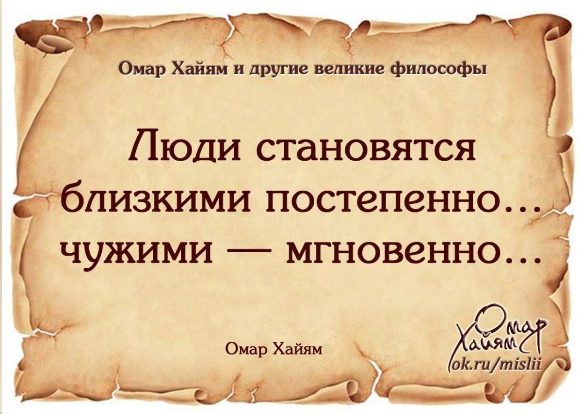 Смешные цитаты