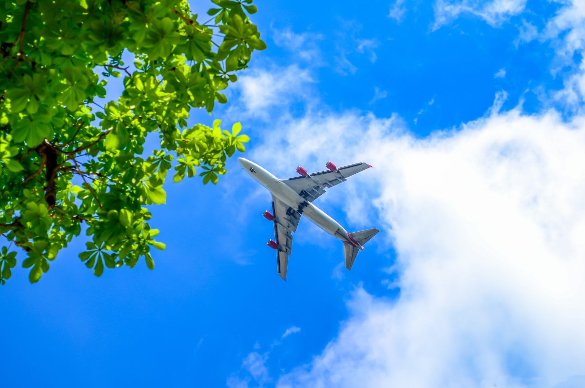 Самолет в небе