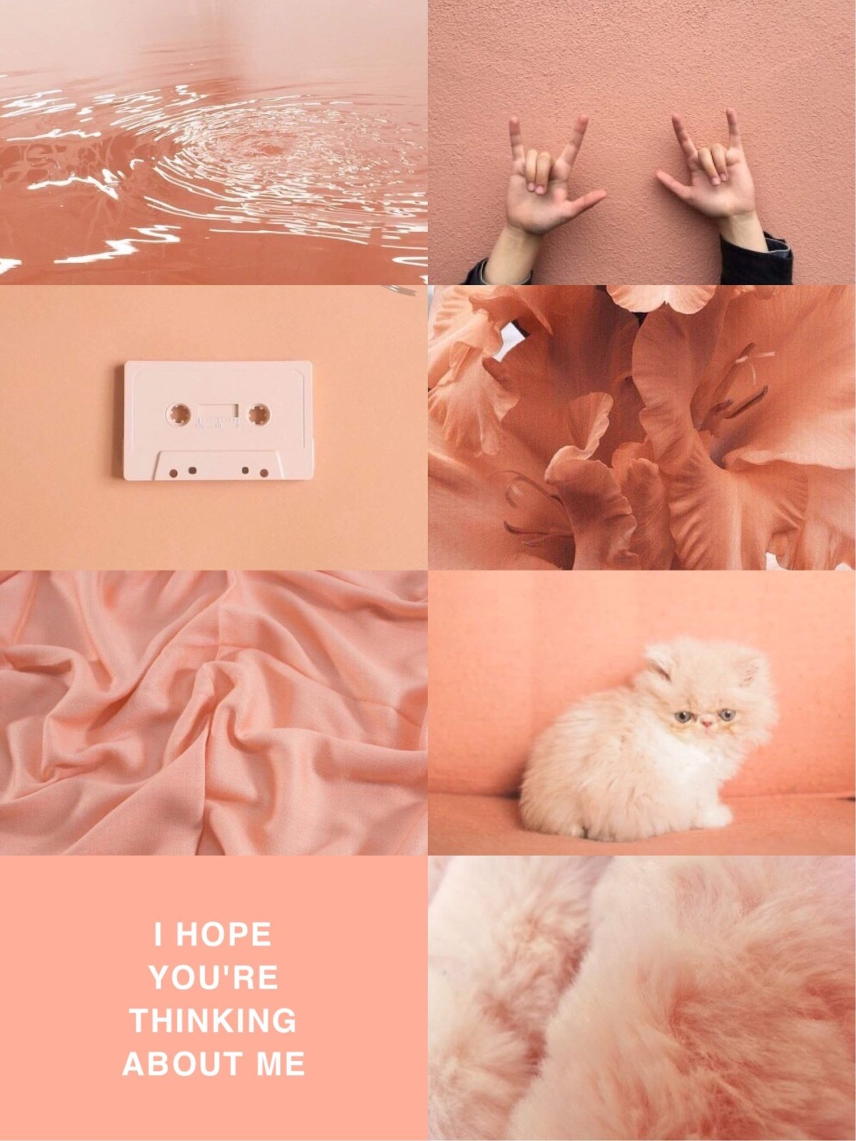 Кот в гирлянде