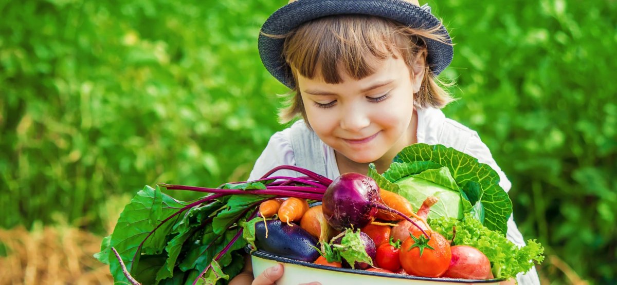 Круглая рамка из фруктов