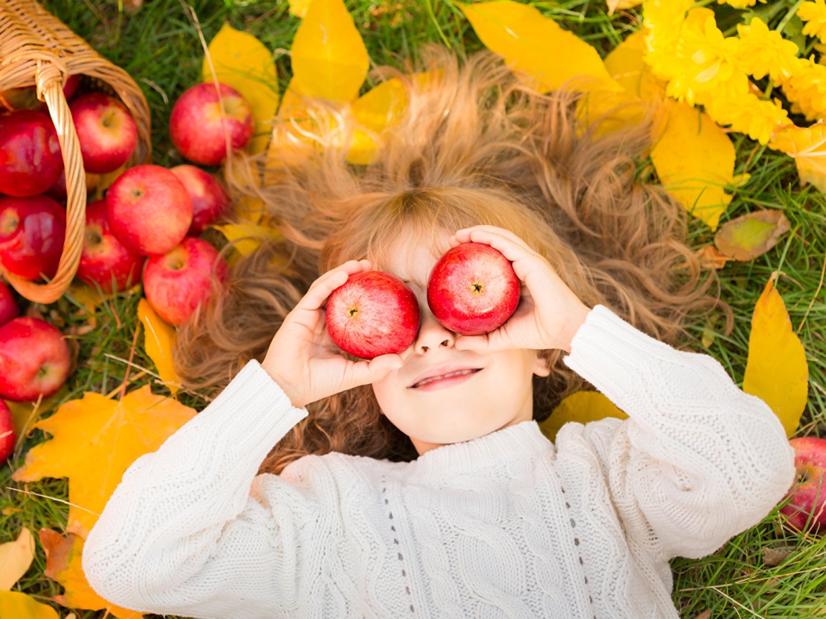 Сад с фруктами для детей
