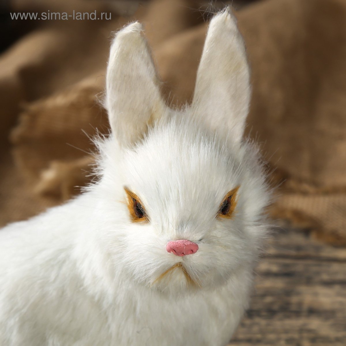 Заяц снежок из Тайная жизнь домашних животных