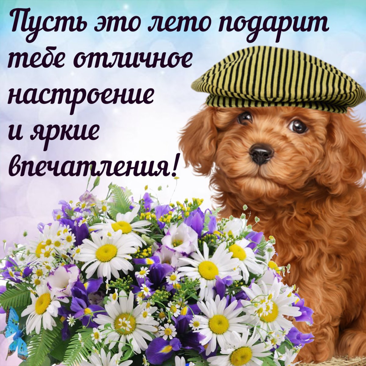 Доброе субботнее утро прикол