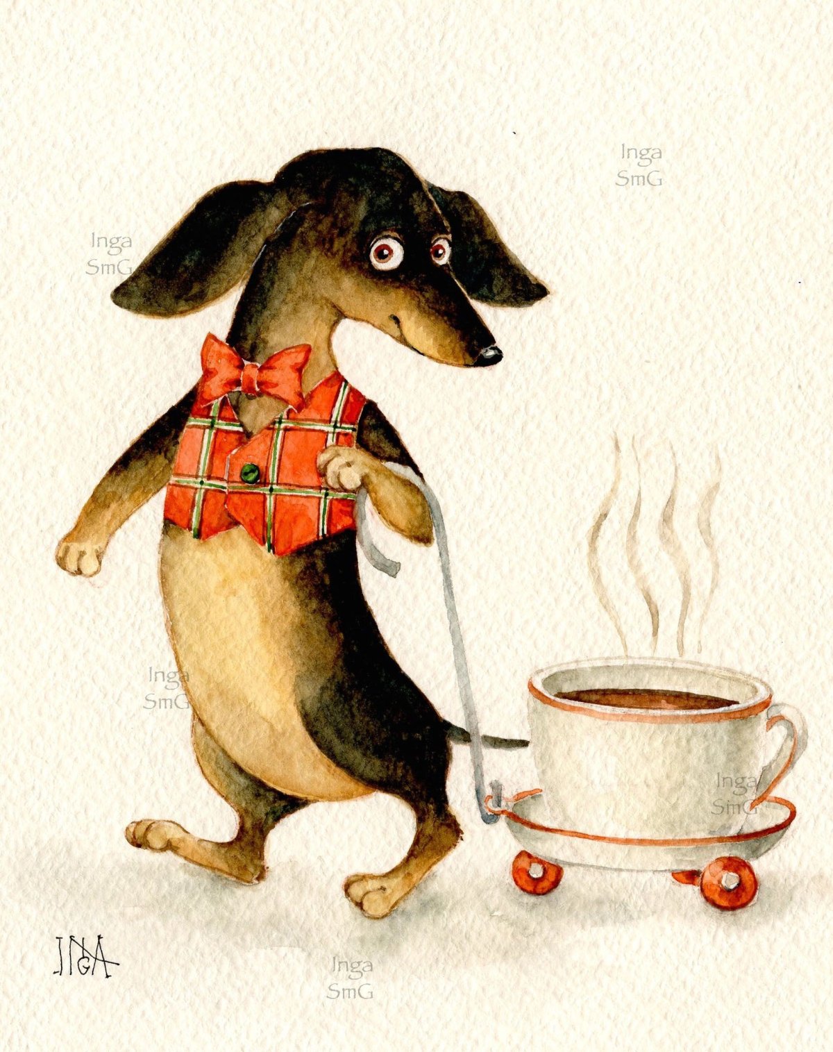 Утро животные