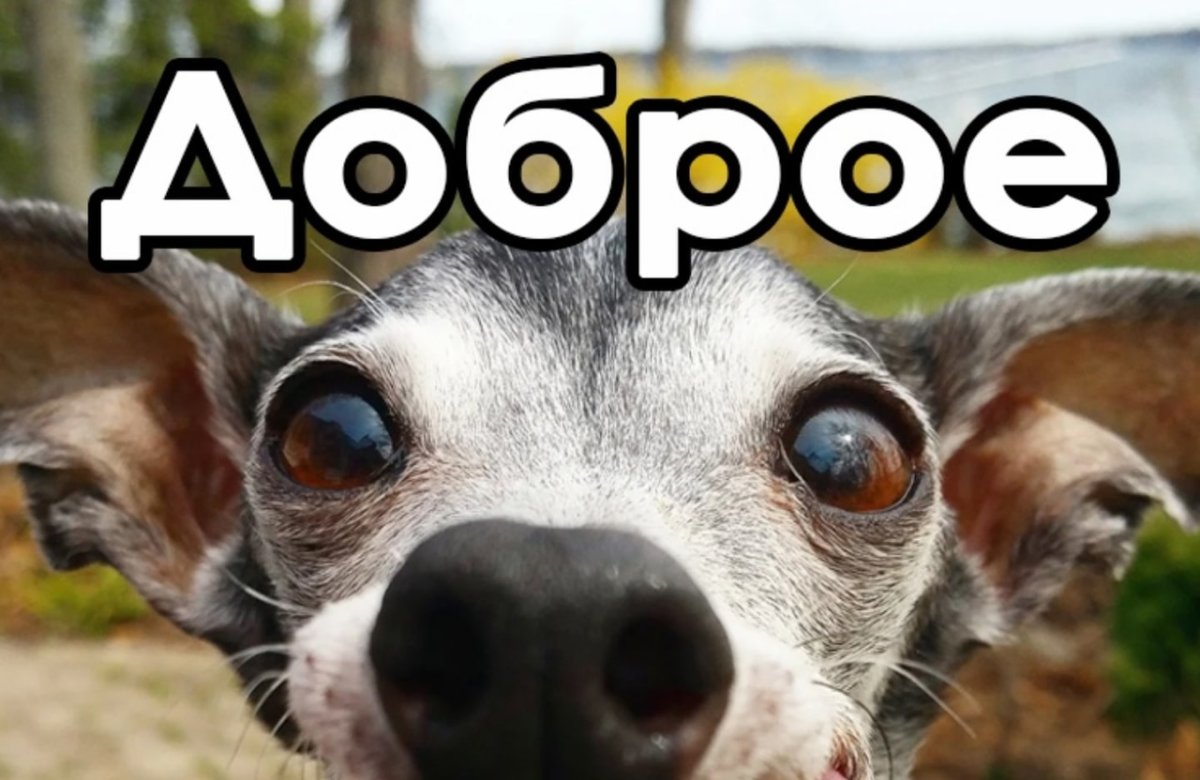 С летом поздравления