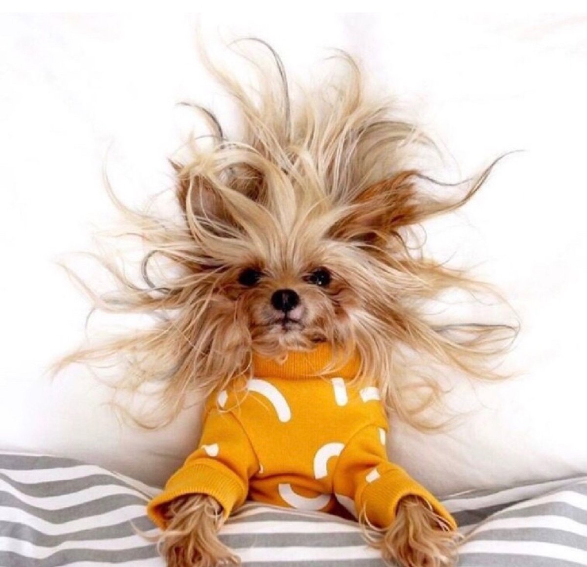 Поздравления с хорошим настроением