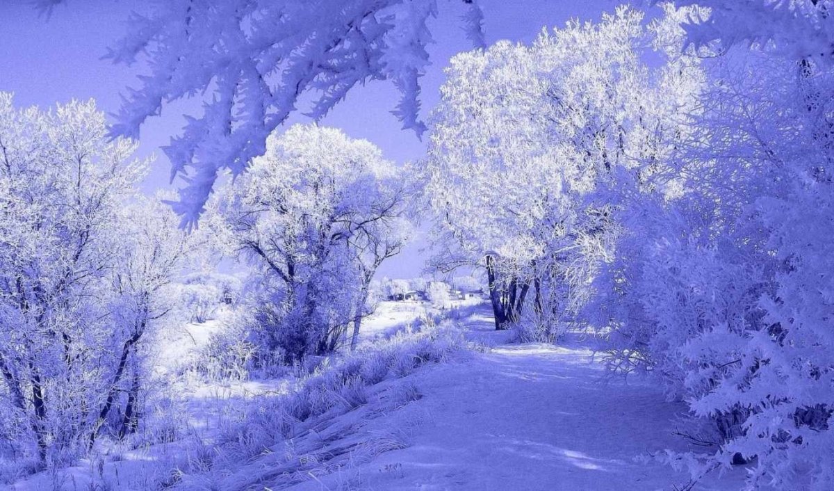 Открытки с зимней природой