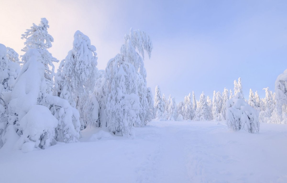 Зимний пейзаж