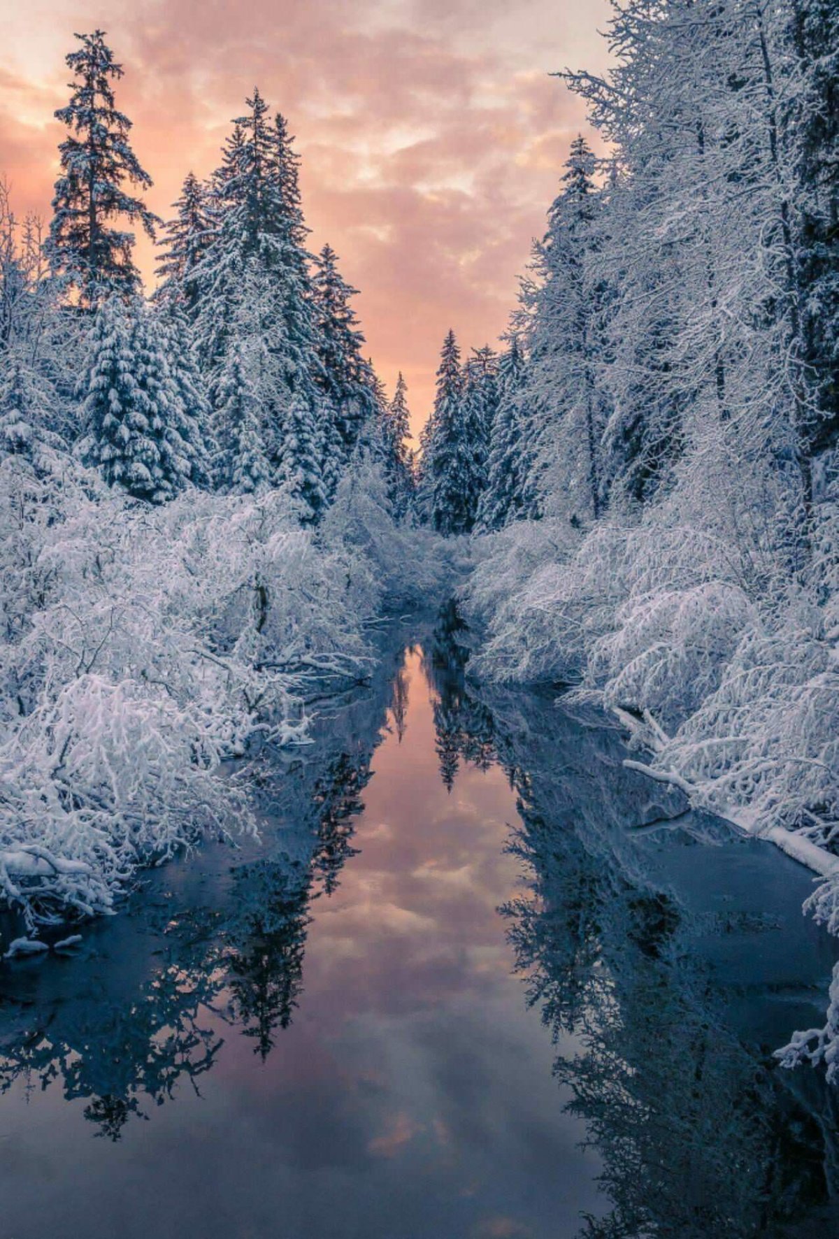 Природа зима