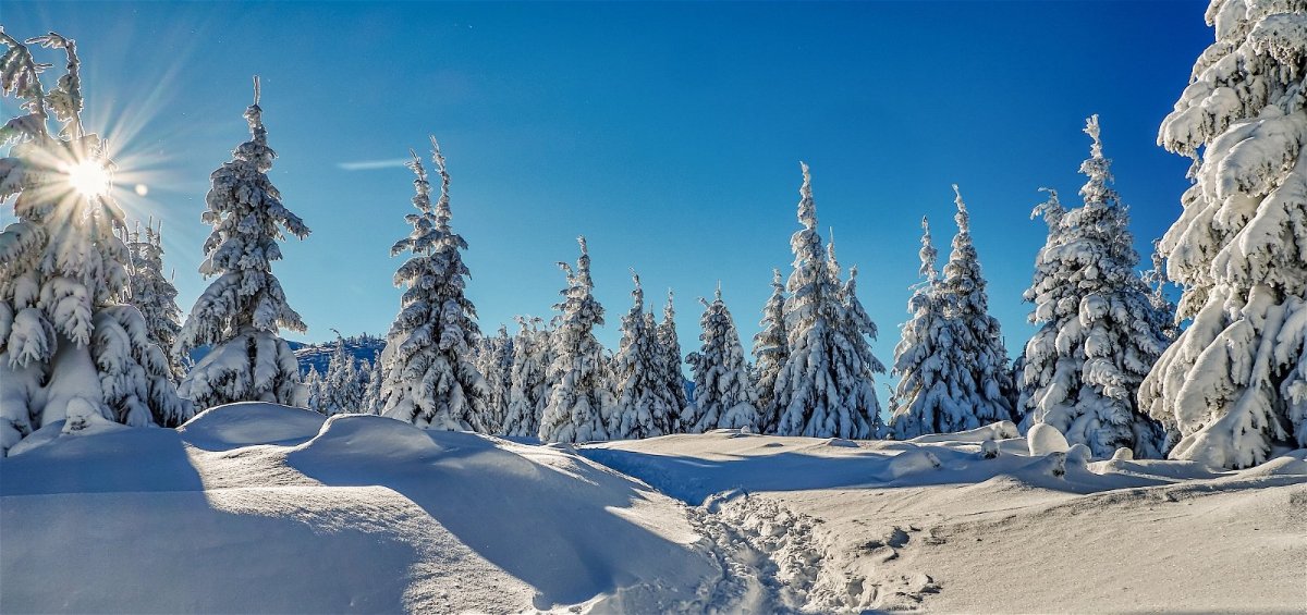 29 Декабря – Аггей – иней сей.