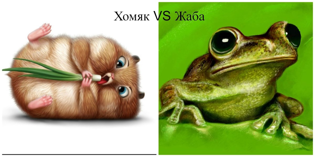 Хомяк и жаба