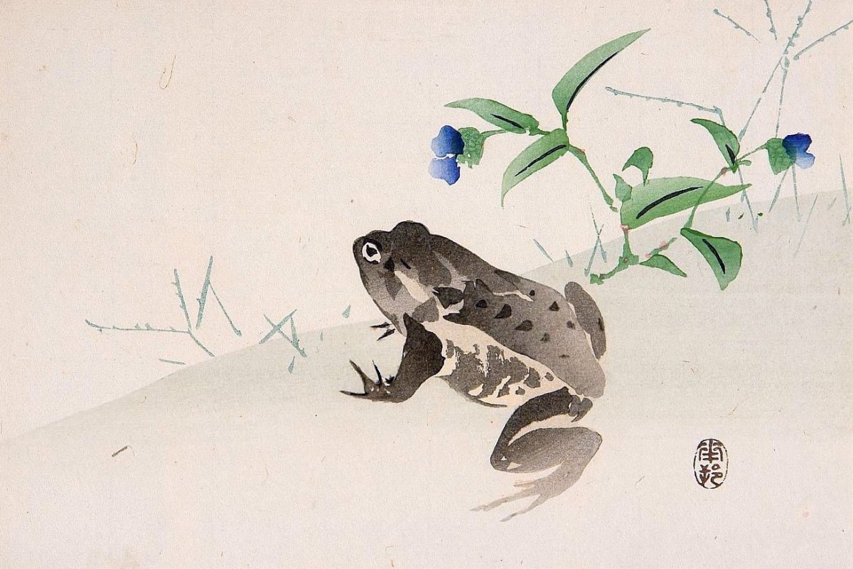 Лягушонок с короной