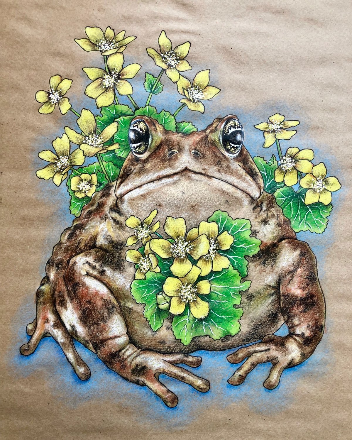 Лягушка на мухоморе