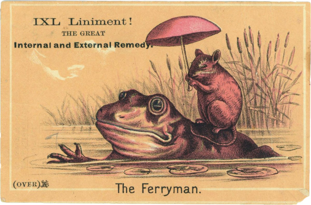 Милые рисуночки лягушек