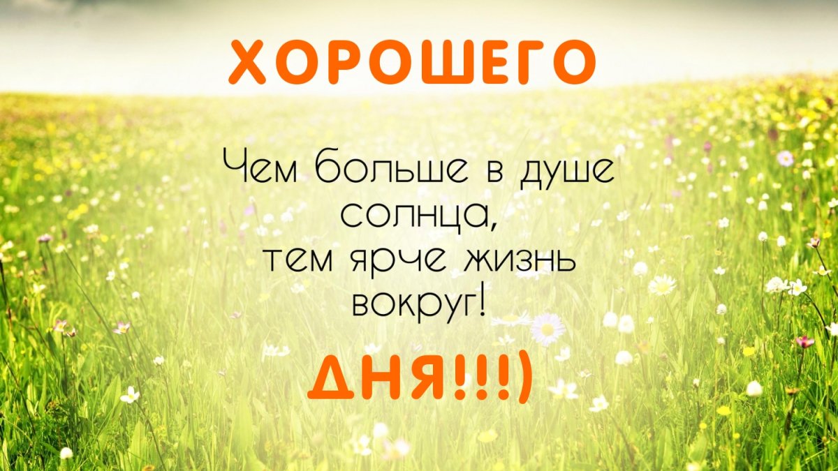 Картинки позитивные с Цитатами