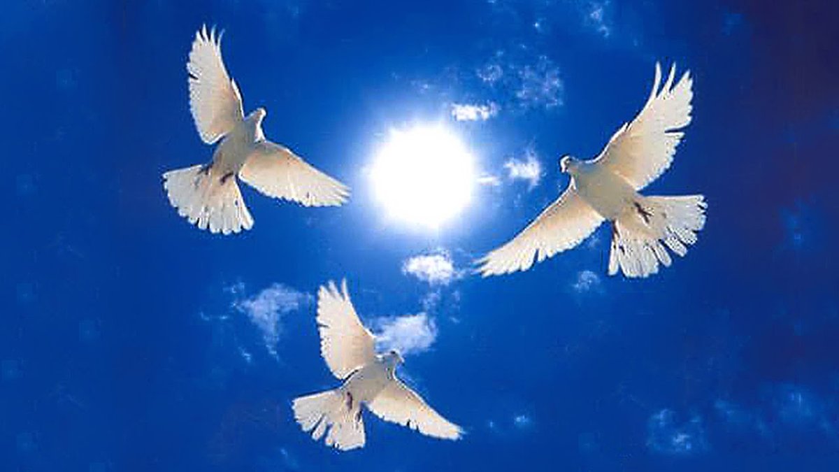 Мир во всём мире плакат