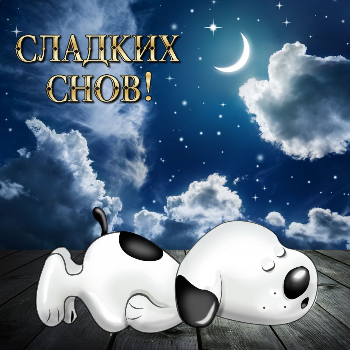Прикольные пожелания спокойной ночи