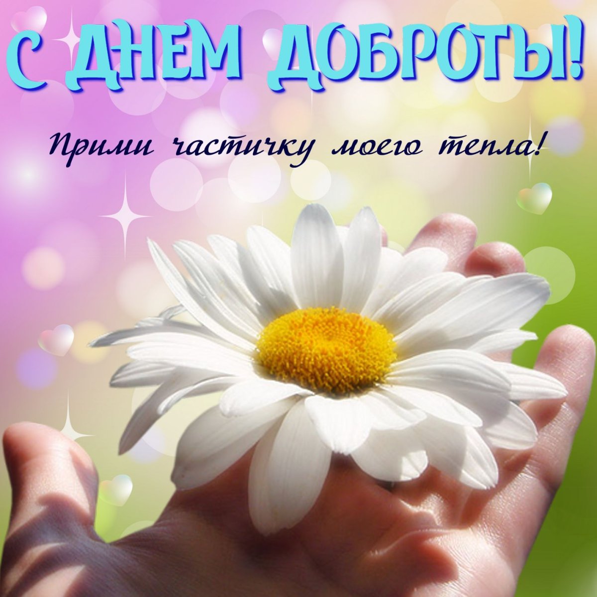 Поздравления с днём доброты