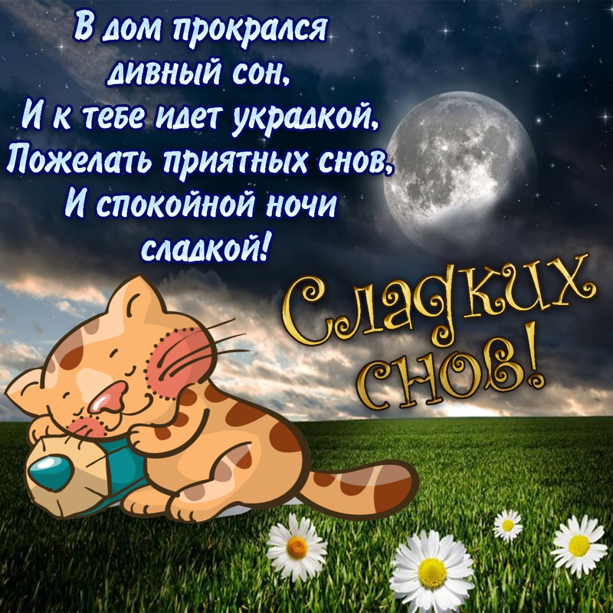 Спокойной ночи