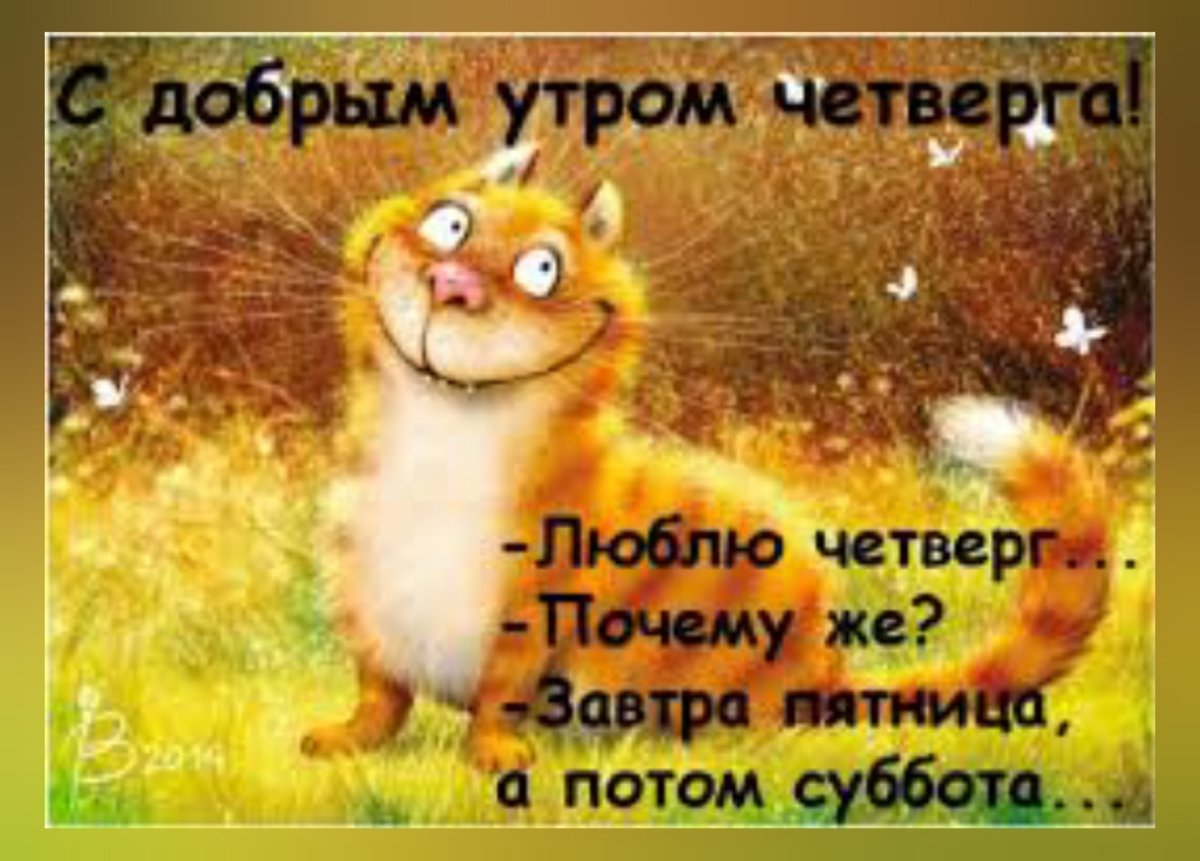 Маленькие радости с утра