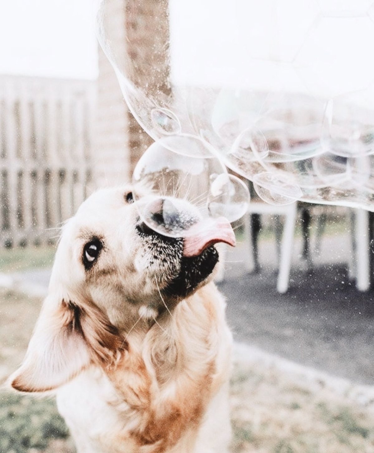 Высказывания про настроение