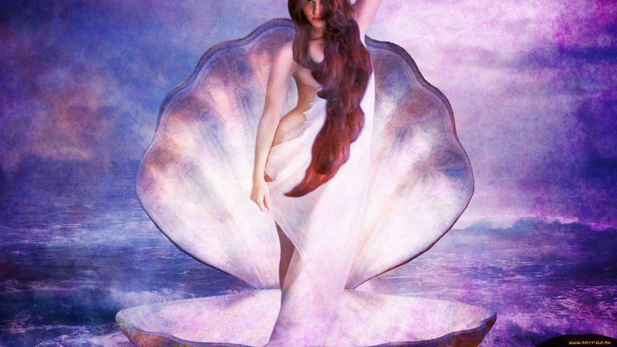 Венера в солнечной системе