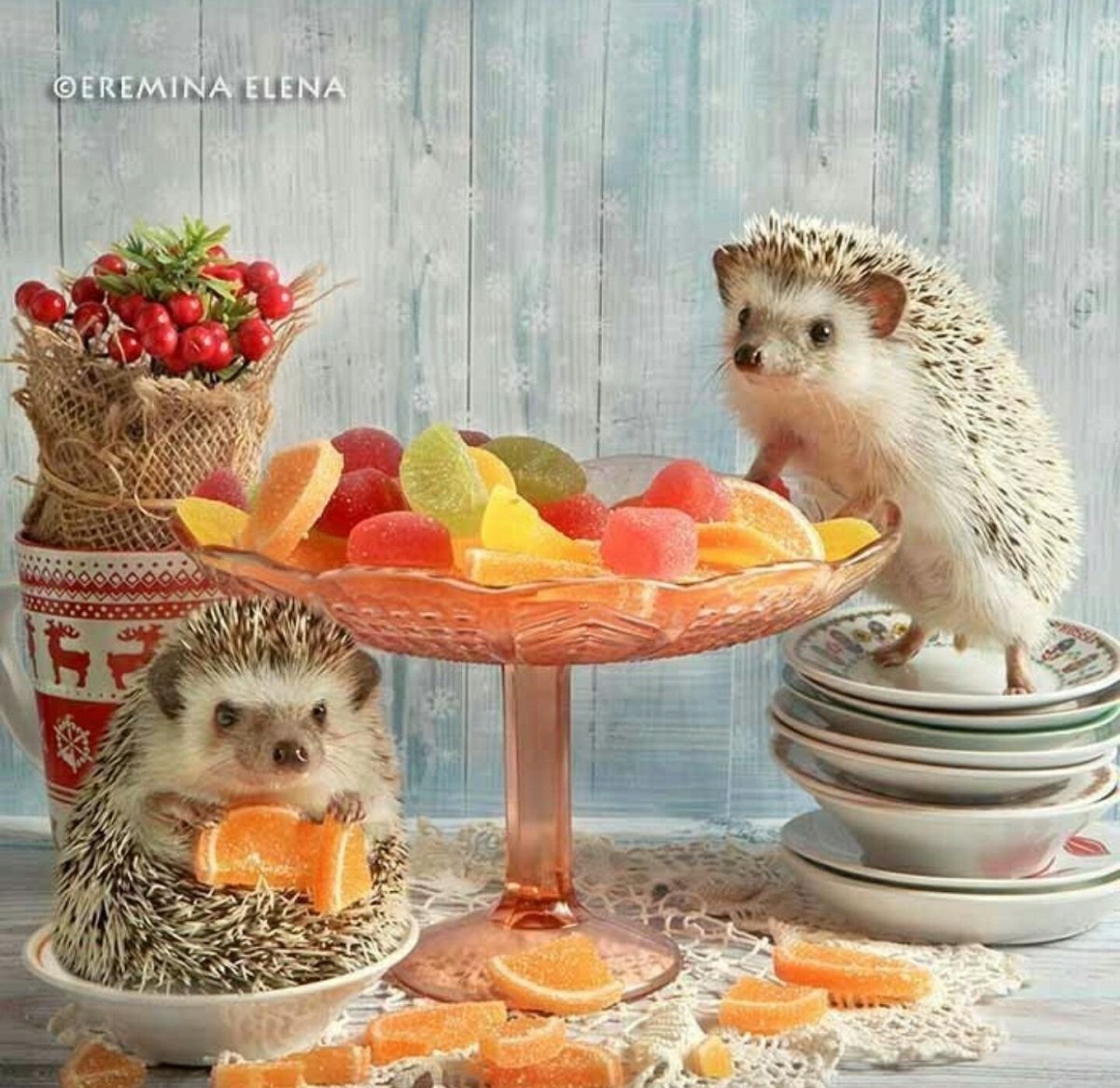 Ёжики Елены Ерёминой