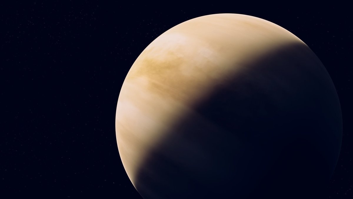 Венера в рыбах образ