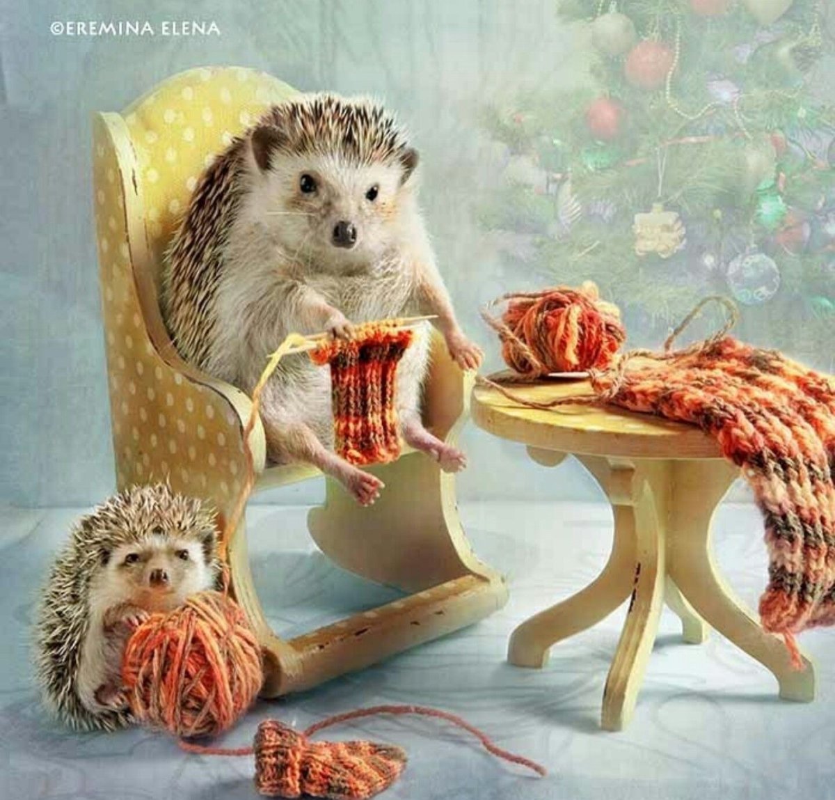 Елена Еремина ежики с одуванчиками