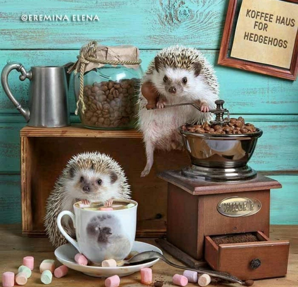 Ёжики Елены Ерёминой 2020