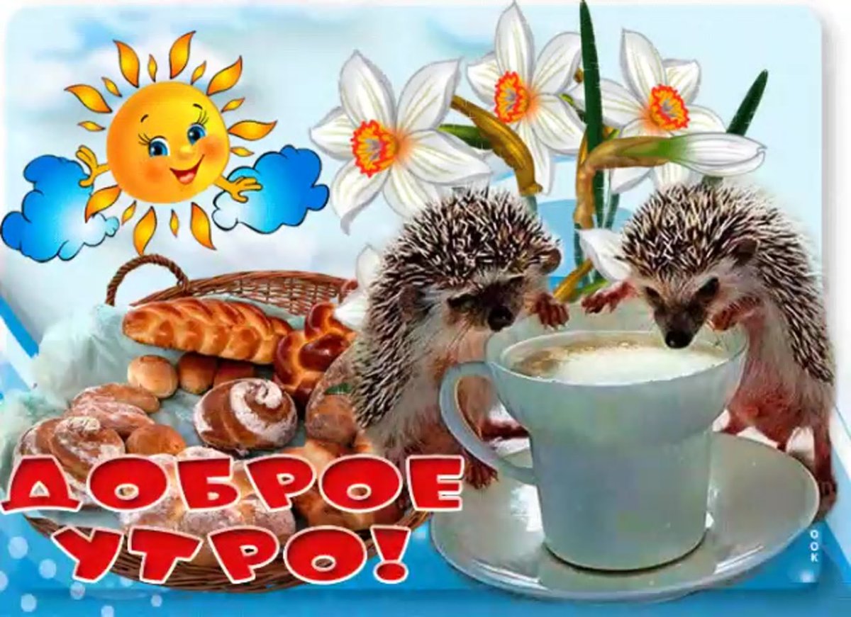 Утренний привет