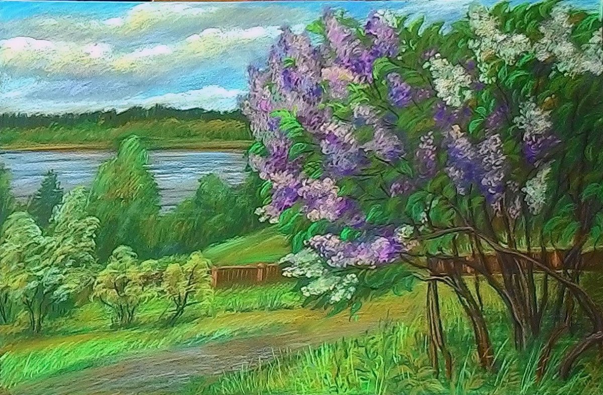 Николай Евграфович куст сирени