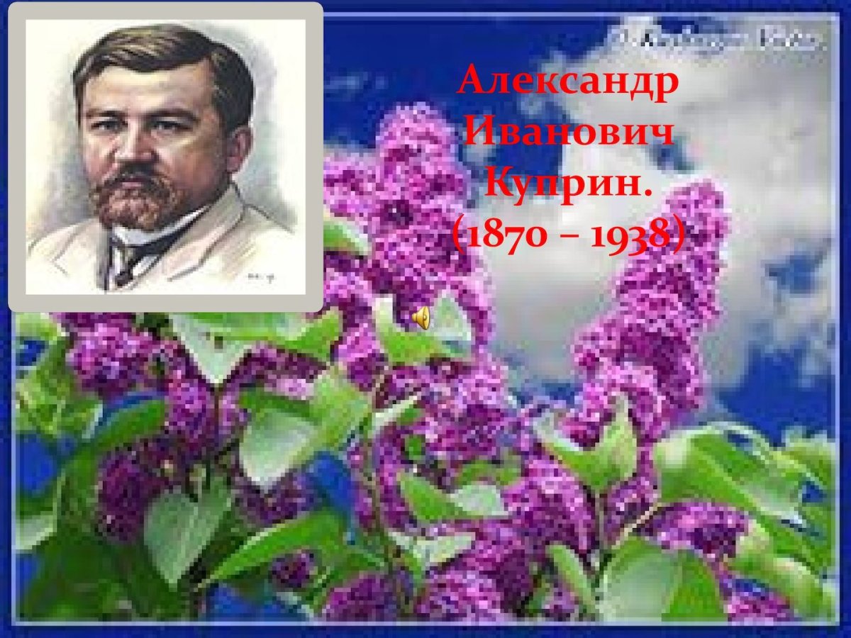 Куст сирени в цвету Ларионов