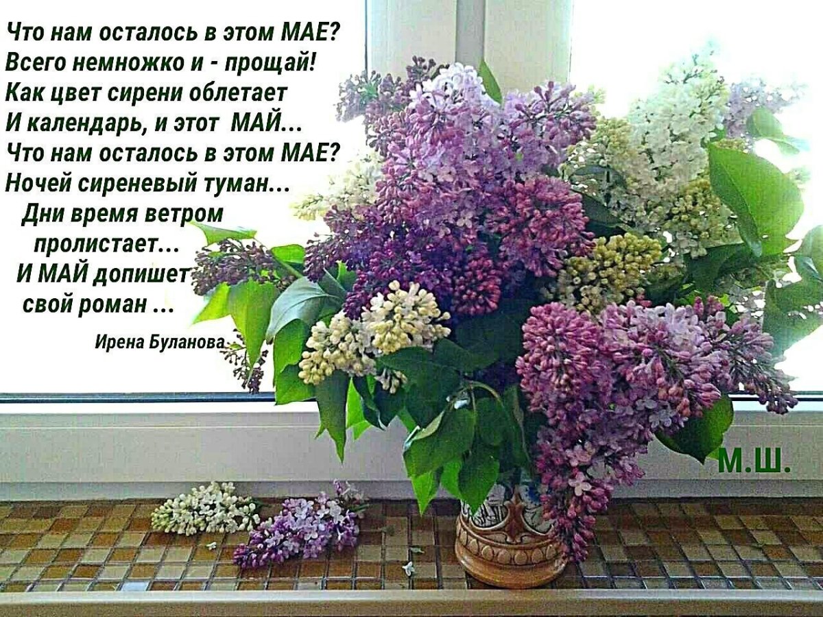 Стилизованная сирень