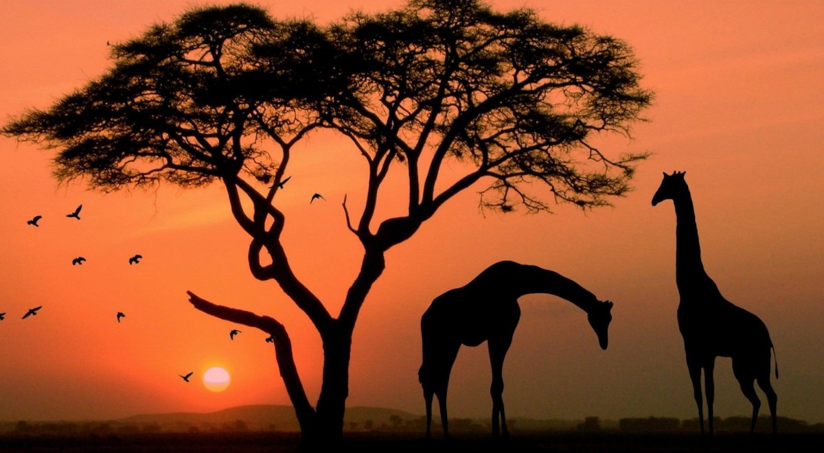 Закат в Африке