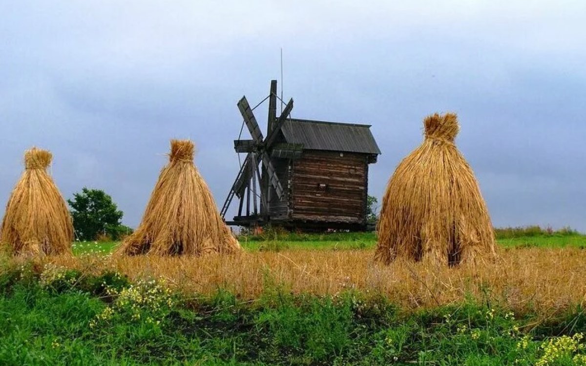 Жизнь в деревне