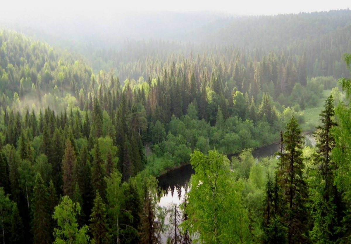 Сложный Бор Агрызский район